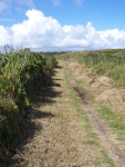 Bild 3 von Fußweg zur 