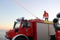 Bild 4 von Zeitalter des „Schweigens der Hörner“ beginnt auf Juist