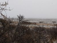 Bild 2 von Aprilwetter beginnt auf Juist schon am letzten Märztag