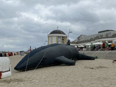 Bild 0 von Greenpeace zeigt sich solidarisch mit Borkum und Juist