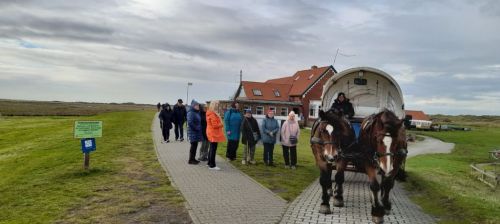 Bild 0 von Vergnügte Kutschfahrt zur Bill 