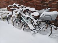 Bild 6 von JNN-FOTOSTRECKE: Insel im Schnee 1