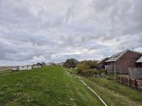 Bild 9 von Feuer im Wohngebäude der Jugendbildungsstätte?