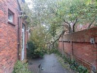 Bild 2 von Sturmtief richtete keine großen Schäden auf Juist an