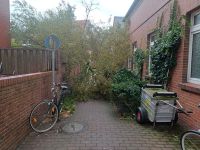 Bild 3 von Sturmtief richtete keine großen Schäden auf Juist an