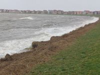 Bild 2 von Zweite Fotostrecke von Sturmtief 