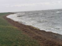 Bild 3 von Zweite Fotostrecke von Sturmtief 