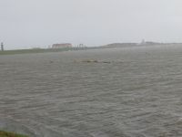 Bild 7 von Zweite Fotostrecke von Sturmtief 