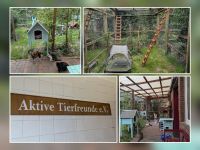 Bild 2 von Auch von Juist aus wird die „Aktive Tierhilfe e V“ jetzt unterstützt