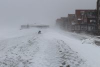 Bild 1 von JNN-Fototour: Unterwegs auf Juist im Schneesturm