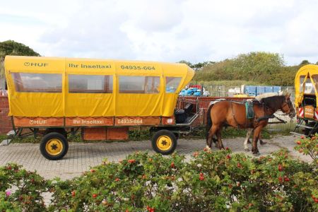 Bild 0 von Frischer Wind und neue Führung bei der HUF Spedition Juist