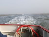 Bild 9 von Insulaner unner sück - Weitere Fotos von Spiekeroog