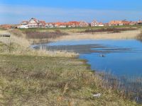 Bild 4 von Hafenbaggerung läuft nach Anlaufschwierigkeiten an