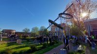 Bild 4 von Segelklub Juist stellte Maibaum auf dem Kurplatz auf